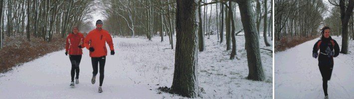 sneeuw 2009